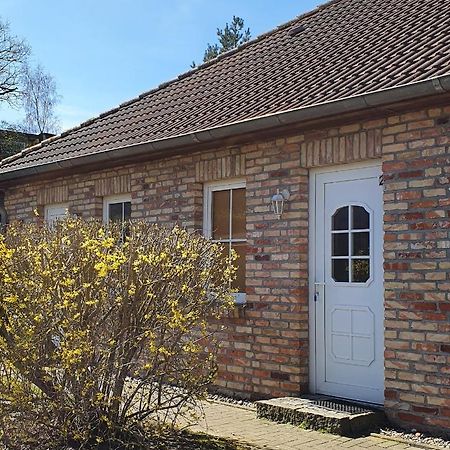 Ferienwohnungen Ruegen-Glueck Lohme Exterior foto
